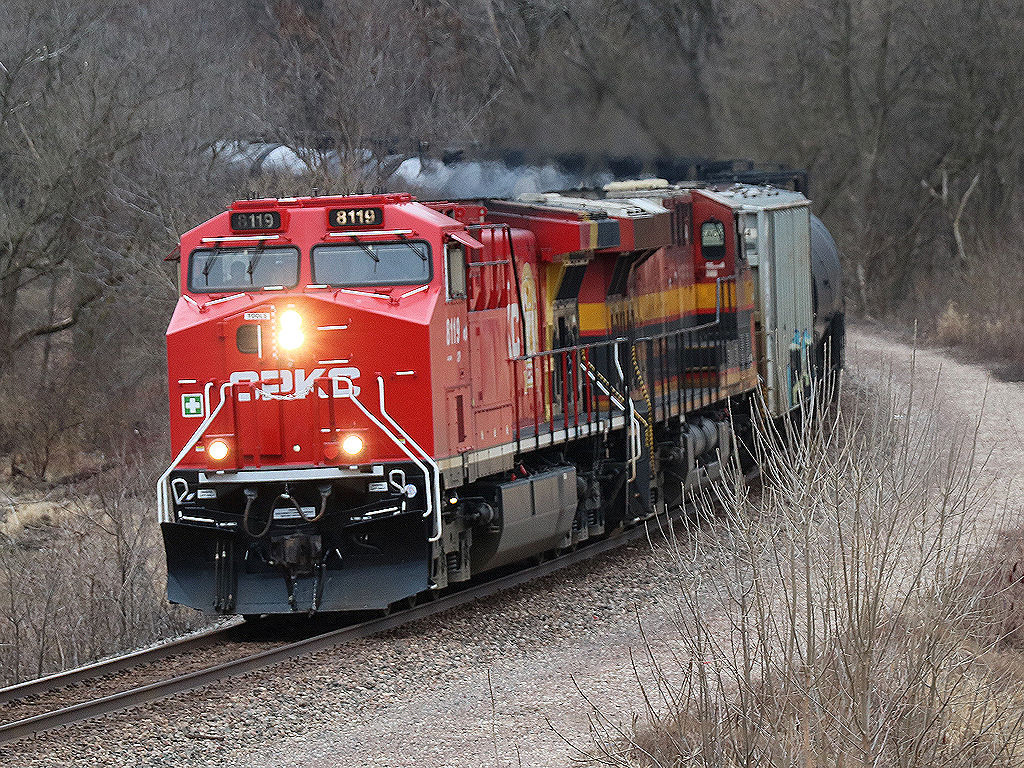 CP 8119